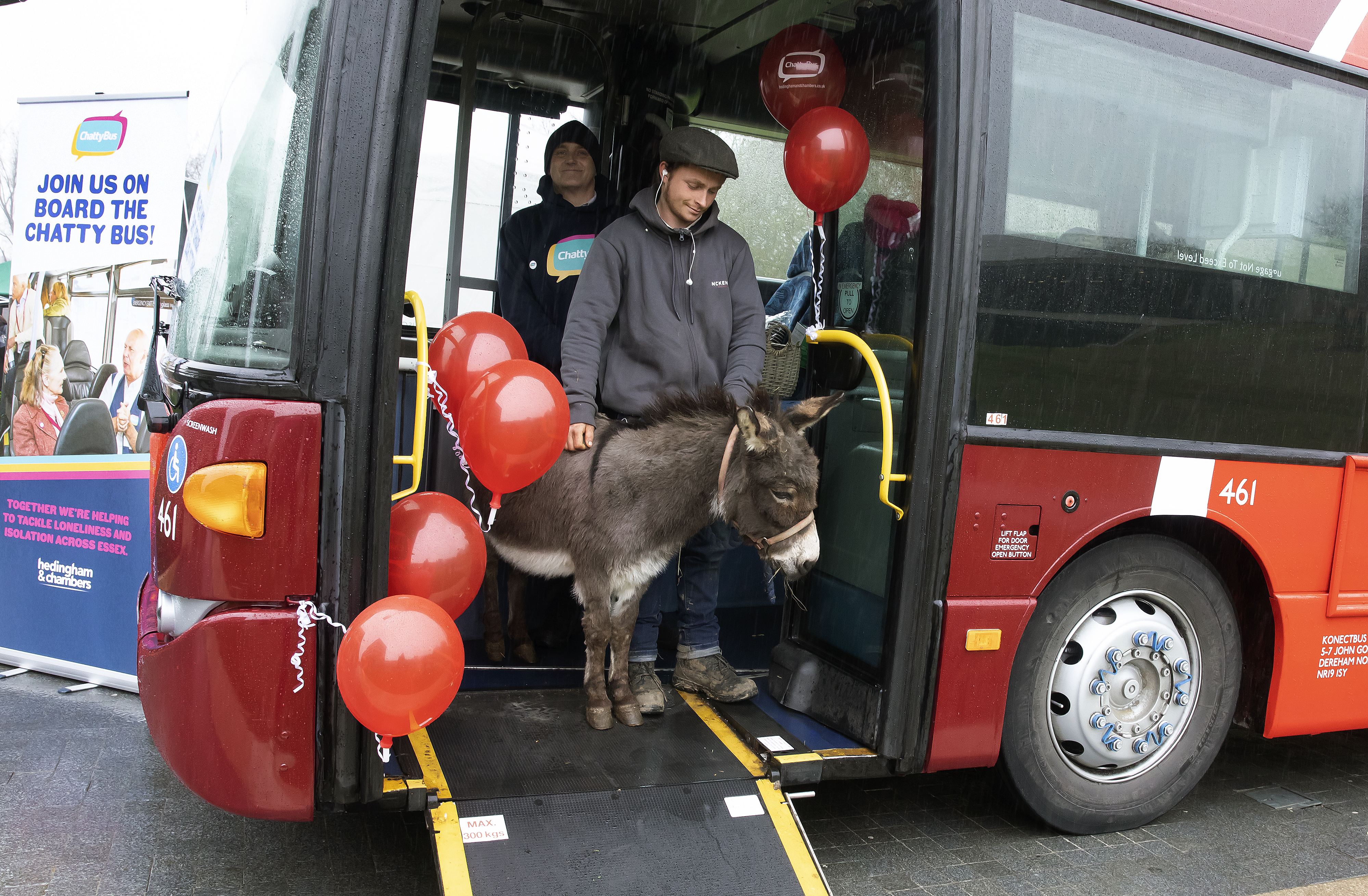 Donkey onboard the Chatty Bus